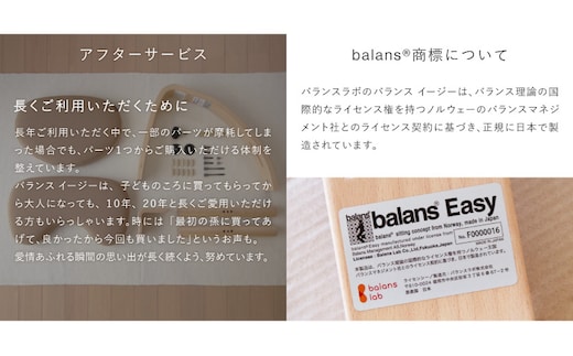 バランスイージー ライトグリーン 正規品 バランスイージー Balans Easy ライトグリーン 通常フレーム