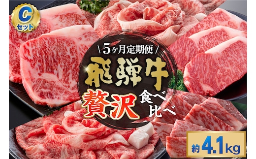 『飛騨牛』贅沢食べ比べセットC 定期便※5回に分けてのお届けとなります。（サーロインステーキ800g・ロースすき焼き用900g・ロースしゃぶしゃぶ用900g・ロース焼肉用900g・ヒレステーキ680g）【0016-101】