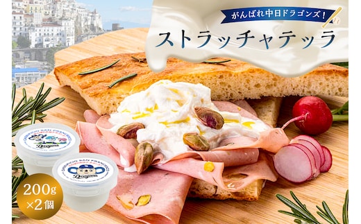 がんばれ中日ドラゴンズ！ストラッチャテッラ2個【中日ドラゴンズコラボ】【0073-073】