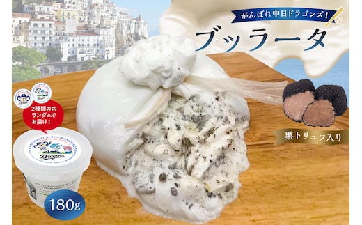 がんばれ中日ドラゴンズ！ブッラータ黒トリュフ入り1個【中日ドラゴンズコラボ】【0073-074】