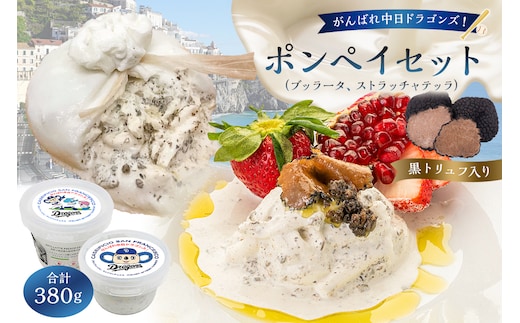 がんばれ中日ドラゴンズ！ポンペイセット【中日ドラゴンズコラボ】【0073-082】