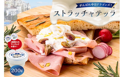 がんばれ中日ドラゴンズ！ストラッチャテッラ1個【中日ドラゴンズコラボ】【0073-087】