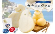 がんばれ中日ドラゴンズ！カチョカヴァロ1個【中日ドラゴンズコラボ】【0073-088】