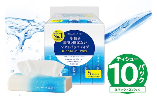 エリエール +Water（プラスウォーター）ソフトパックティシュー 120W5P×2パック【0095-016-1】