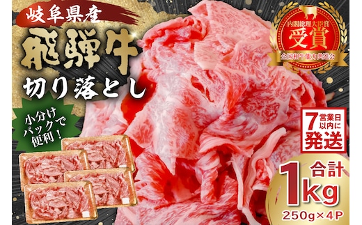 飛騨牛切り落とし1Kg（250ｇ×4）【0016-019】 within2025