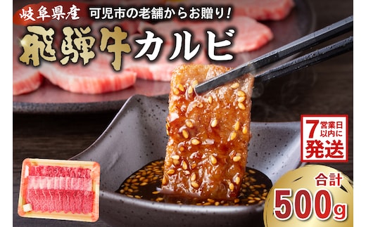 飛騨牛カルビ500g【0016-054】 within2025