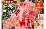 飛騨牛切り落とし1Kg（250ｇ×4）【0016-019】 within2025