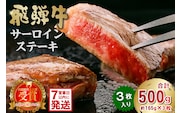 飛騨牛サーロインステーキ500g【0016-027】 within2025