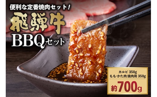 飛騨牛BBQセット（カルビ350g、もも・かた肉 焼き肉用350g）【0016-022】 