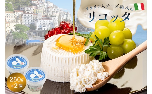リコッタ Ricotta 250g 2個セット【0073-001】
