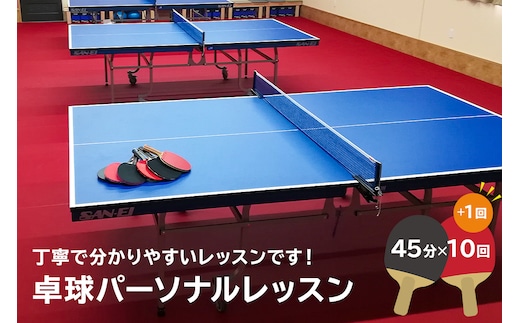 卓球パーソナルレッスン（45分×11回）【0075-003】