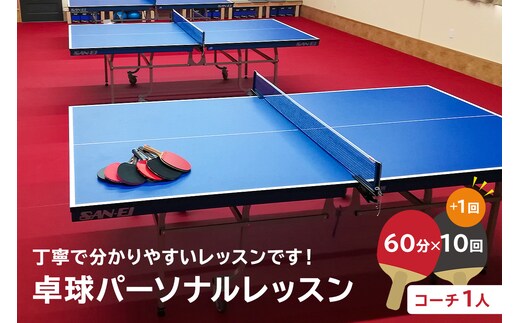 卓球パーソナルレッスン（60分×11回）コーチ１人【0075-004】