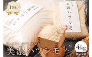 2025年産米　美濃ハツシモ　1等米4kg（2kg×2袋）【0021-006】