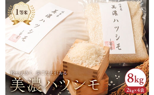 2025年産米 美濃ハツシモ 1等米8kg（2kg×4袋）【0021-007】