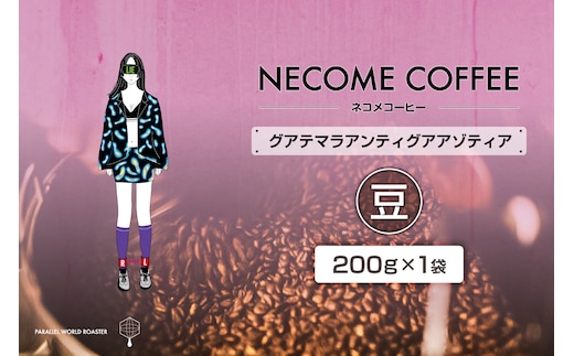 グアテマラアンティグアアゾティア(豆) 【0097-016-1】