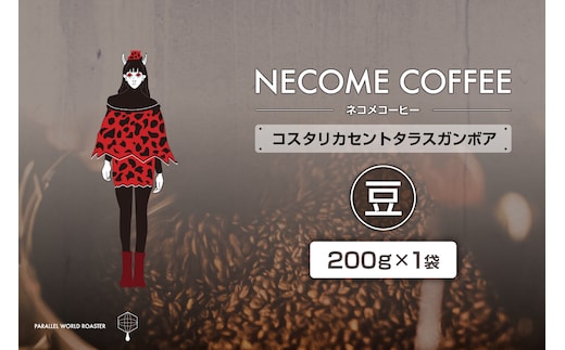 コスタリカセントタラスガンボア(豆) 【0097-017-1】