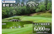 愛岐カントリークラブ利用券（6,000円分）【0039-002】