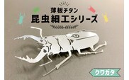 薄板チタン昆虫細工シリーズ（クワガタ） 【0067-012】