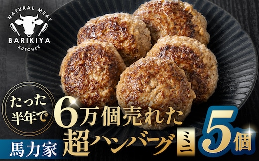 超ハンバーグミニ 5個 【0110-018】