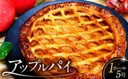 アップルパイ　【0112-001】