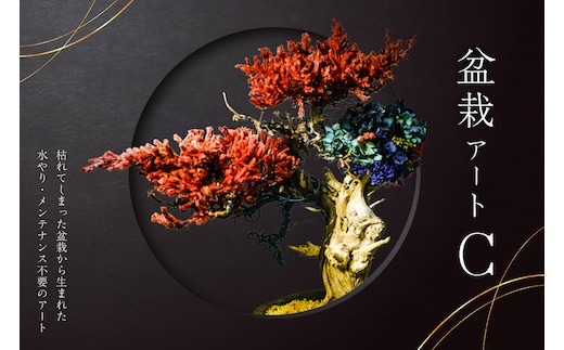 盆栽アート【C】【0120-003】