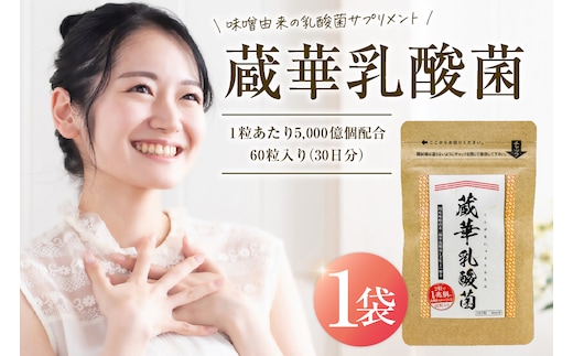 乳酸菌サプリメント 蔵華乳酸菌 【0106-002】