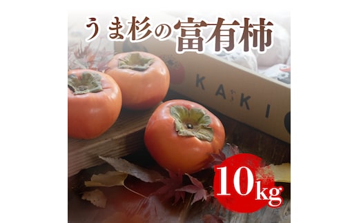うま杉の富有柿 10kg 2L ※2025年11月中旬～12月中旬頃に順次発送予定