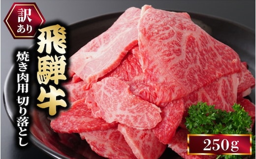 ★お試し★250g 訳あり 飛騨牛 焼き肉用 切り落とし | 牛 牛肉 焼肉 BBQ バーベキュー 切り落とし ※離島への配送不可