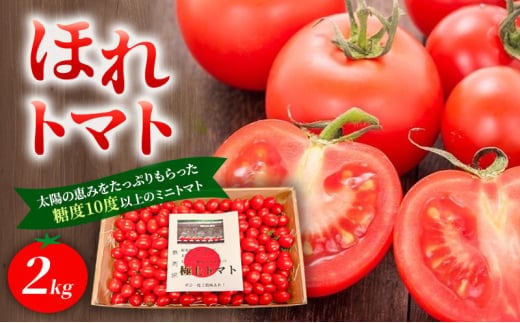 高糖度「ほれトマト」2kg 極上 ミニトマト 糖度10度以上 | トマト とまと ミニトマト フルーツトマト 野菜 やさい 人気 新鮮 産地直送 甘い 高糖度 完熟 ジューシー 食べやすい ※2026年6月～発送