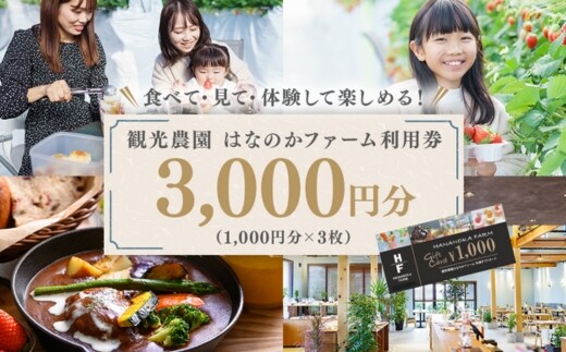 「観光農園はなのかファーム」利用券3枚綴り ｜ チケット 体験チケット いちご狩り カフェ お出かけ 休日 ※離島への配送不可
