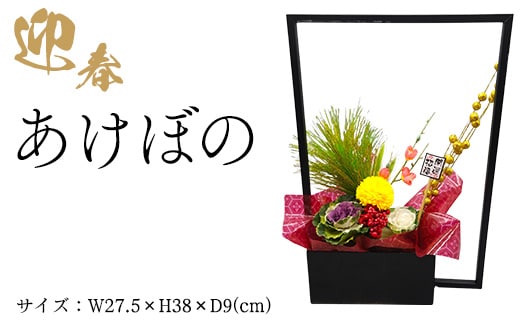 迎春 あけぼの ※2025年12月中旬～12月下旬頃に順次発送予定