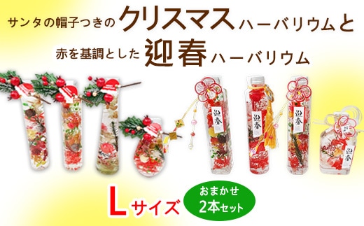 サンタの帽子つきのクリスマスハーバリウムと赤を基調とした迎春ハーバリウム Lサイズおまかせ2本セット ｜ インテリア 植物 お花 お正月 イベント 冬 鮮やか 鑑賞 手入れ不要 ガラス 癒し ※離島への配送不可 ※2025年12月中旬～12月下旬頃に順次発送予定