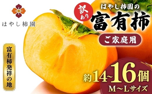 【先行予約】【訳アリ】はやし柿園のご家庭用 富有柿 M～Lサイズ 約14～16個 | 柿 カキ かき 訳アリ わけあり 果物 フルーツ 予約 高糖度 濃厚 秋の味覚 旬 お取り寄せ お取り寄せグルメ ご自宅用 ※2026年11月中旬頃より順次発送予定 ※離島への配送不可