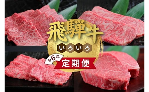 飛騨牛いろいろ定期便 毎月お届け全6回｜サーロイン お肉 牛肉 ステーキ 焼肉 バーベキュー ※離島への配送不可