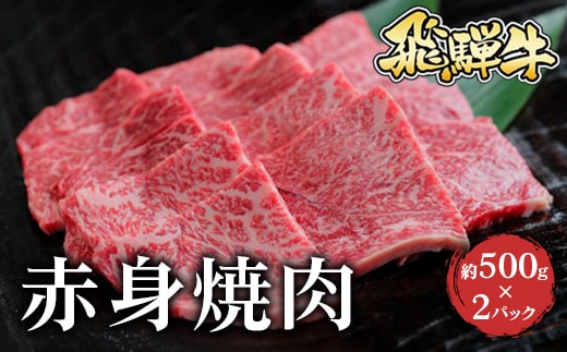 飛騨牛 赤身焼肉 約500g×2※北海道・沖縄・離島への配送不可