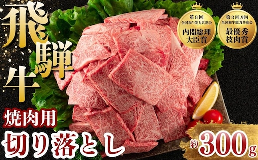 飛騨牛 焼肉 切り落とし 300g | 牛肉 肉 切落し 飛騨牛 訳あり 訳アリ わけあり ワケアリ 不揃い 冷凍 まるたか 食品 バーベキュー BBQ 家用 家庭用 岐阜 瑞穂市
