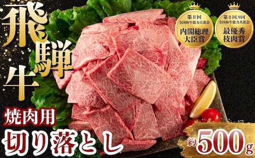 飛騨牛 焼肉 切り落とし 500g | 牛肉 肉 切落し 飛騨牛 訳あり 訳アリ わけあり ワケアリ 不揃い 冷凍 まるたか 食品 バーベキュー BBQ 家用 家庭用 岐阜 瑞穂市