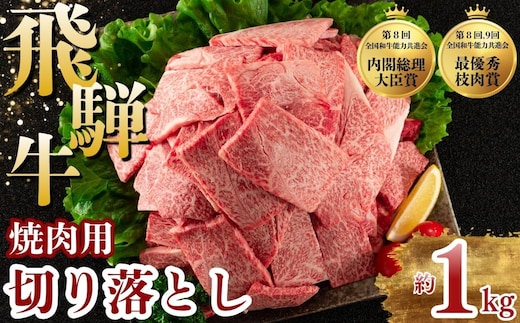 飛騨牛 焼肉 切り落とし 1kg | 牛肉 肉 切落し 飛騨牛 訳あり 訳アリ わけあり ワケアリ 不揃い 冷凍 まるたか 食品 バーベキュー BBQ 家用 家庭用 岐阜 瑞穂市