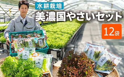 美濃国やさいセット 計12袋 ｜ 野菜 野菜セット レタス フリルレタス 水耕栽培 安全 安心 衛生的 新鮮 シャキシャキ 産地直送 サラダ サンドイッチ ※離島への配送不可