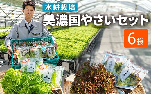 美濃国やさいセット 計6袋 ｜ 野菜 野菜セット レタス フリルレタス 水耕栽培 安全 安心 衛生的 新鮮 シャキシャキ 産地直送 サラダ サンドイッチ ※離島への配送不可