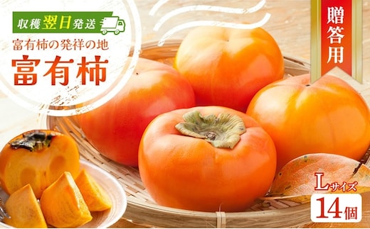 富有柿発祥の地から収穫翌日発送！【贈答用】富有柿Lサイズ14個｜かき フルーツ カキ 果物 くだもの 産地直送 岐阜県 瑞穂市 お取り寄せ ※離島への配送不可 ※2025年11月～12月中旬頃に順次発送予定