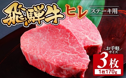 飛騨牛 ヒレ 170g ×3枚｜牛肉 和牛 国産 瑞穂市 岐阜県 ※離島への配送不可