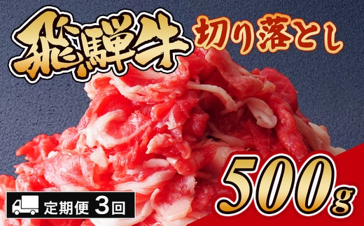 【3ヵ月定期便】飛騨牛切り落とし 500g｜牛肉 和牛 国産 瑞穂市 岐阜県 ※離島への配送不可