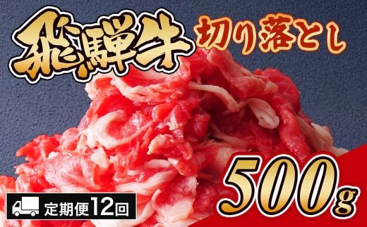 【12ヵ月定期便】飛騨牛切り落とし 500g｜牛肉 和牛 国産 瑞穂市 岐阜県 ※離島への配送不可