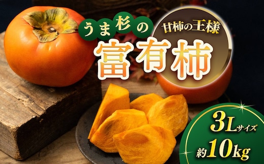 【先行予約】うま杉の富有柿 10kg 30玉(3L) ※2026年11月中旬～12月中旬頃に順次発送予定
