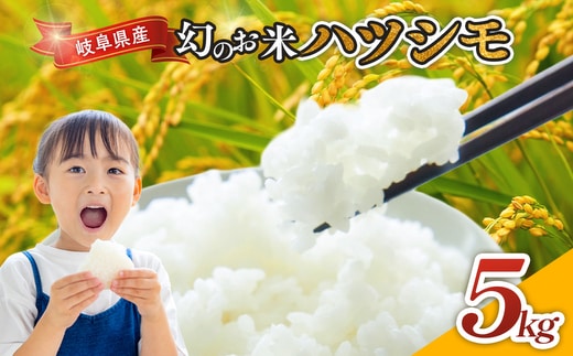 令和7年産 岐阜県産 ハツシモ 5kg | 米 お米 コメ こめ ハツシモ はつしも ごはん ご飯 おにぎり お弁当 白米 精米 ブランド米 幻の米 国産 岐阜県 瑞穂市