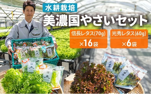 美濃国やさいセット｜野菜 野菜セット レタス フリルレタス 水耕栽培 安全 安心 衛生的 新鮮 シャキシャキ 産地直送 サラダ サンドイッチ 詰合せ ※離島への配送不可