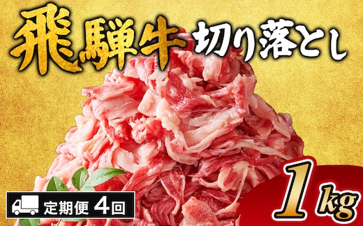 【4ヵ月定期便】飛騨牛切り落とし 1kg ｜ 牛肉 和牛 国産 切り落し 切落し 定期便 スライス すき焼き カレー 赤身 赤身肉 牛 肉 夜ごはん 晩ごはん ご飯 おかず おすすめ 瑞穂市 岐阜県