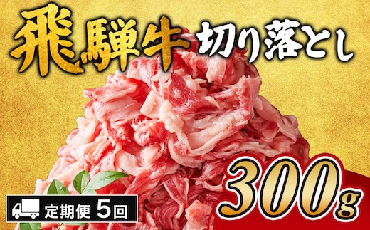 【5ヵ月定期便】飛騨牛切り落とし 300g ｜ 牛肉 和牛 国産 切り落し 切落し 定期便 スライス すき焼き カレー 赤身 赤身肉 牛 肉 夜ごはん 晩ごはん ご飯 おかず おすすめ 瑞穂市 岐阜県