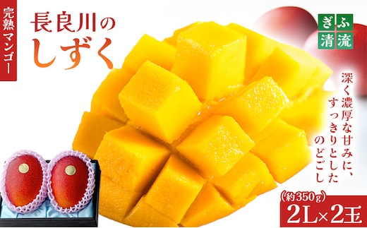 ぎふ清流完熟マンゴー2個入り※クレジット決済のみ｜果物 フルーツ 旬 採れたて お取り寄せ お取り寄せグルメ デザート スイーツ おやつ 贈答用 贈り物 ギフト プレゼント ※北海道・沖縄県・離島への配送不可 ※2026年6月中旬～7月下旬頃に順次発送予定